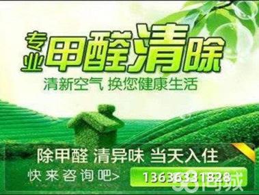 母嬰甲醛治理服務工裝家裝除甲醛工廠,空氣凈化提供甲醛檢測、汽車除醛、甲醛治理/除甲醛服務